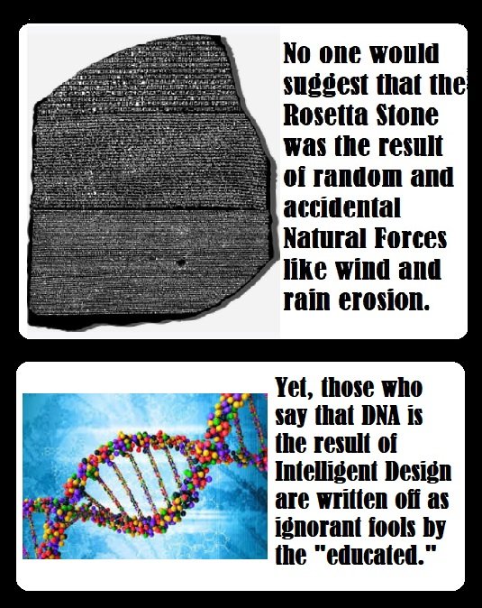 DNA-ikke-tilfeldig kode
