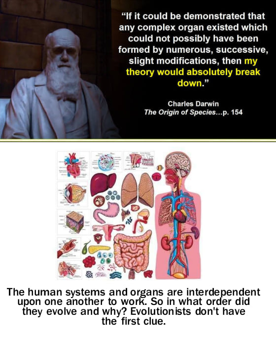 Darwin-komplekse-organer