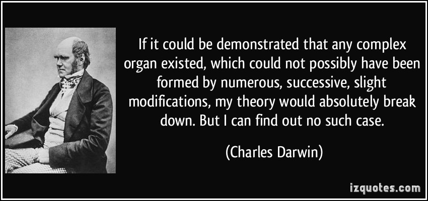 Darwin-om-komplekse-organer