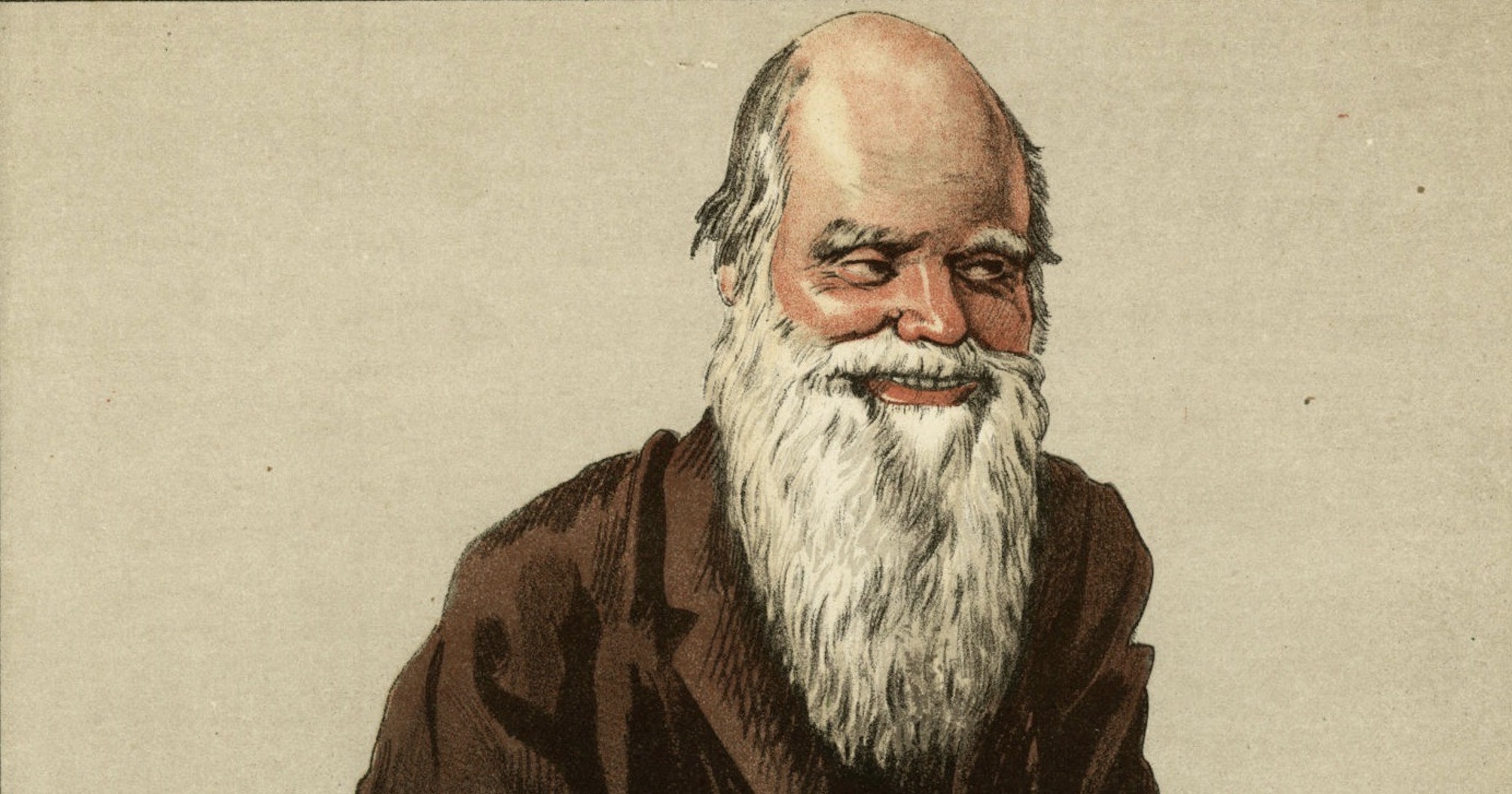 Darwin-tegning