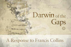 Darwin i gapene