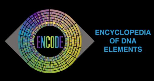 ENCODE-prosjektet