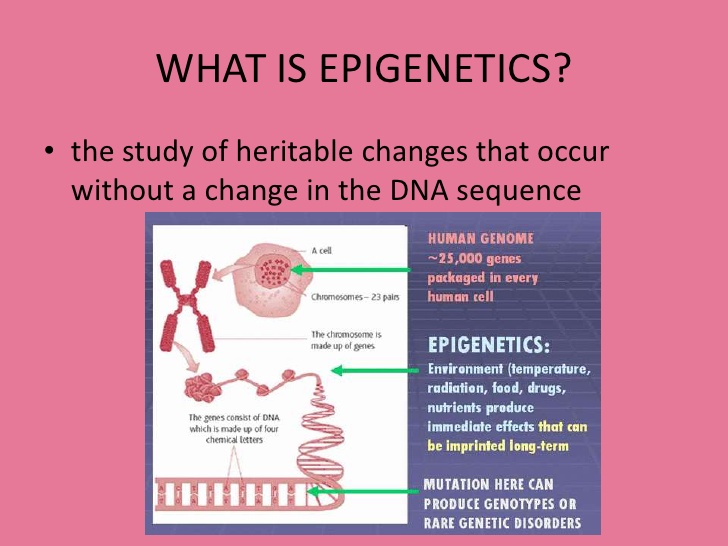 Epigenetikk-uten-DNA-endringer