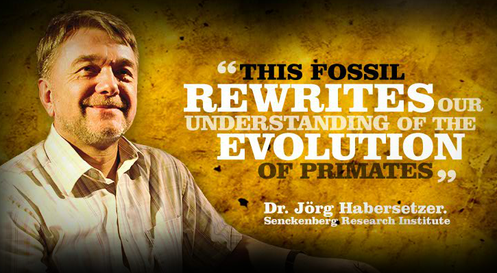 nyskriving-fossilhistorie