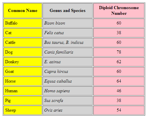 kromosom-tall ulike arter