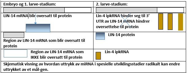 mikro-RNA