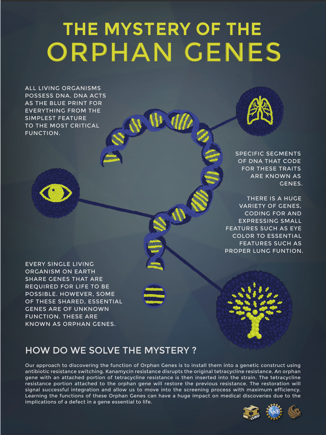 orfan-gener