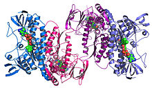 3D-protein