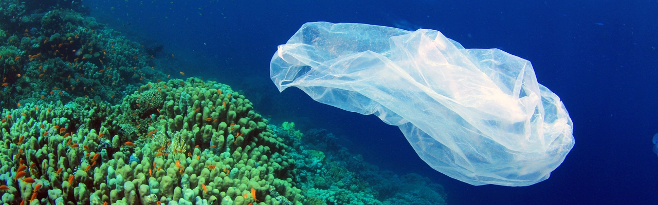 Rydd-plast-i-havet