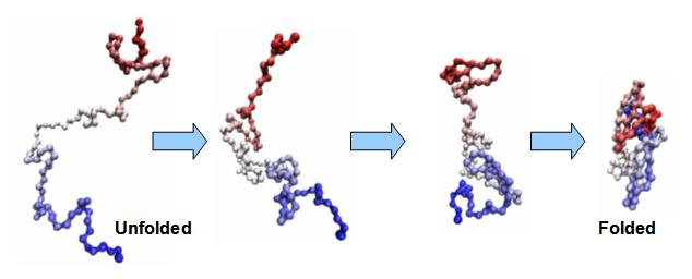 Protein-folding